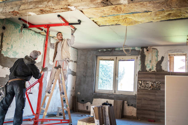 Best Insulation Maintenance and Repair in Wellsville, KS