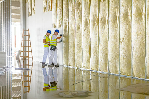 Best Types of Insulation in Wellsville, KS